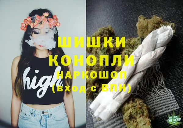 гашик Аркадак