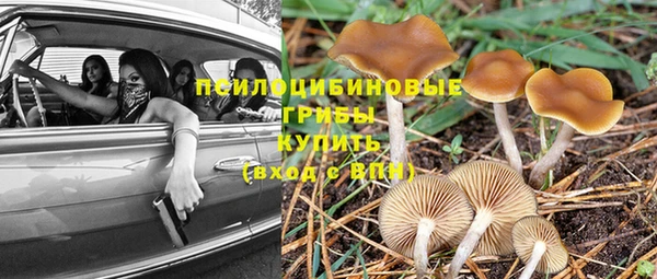 mdpv Армянск