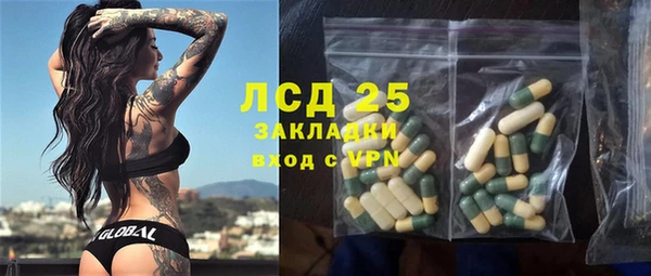 гашик Аркадак