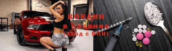 гашик Аркадак