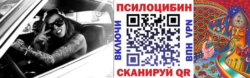 закладка  кракен онион  Псилоцибиновые грибы мицелий  Сретенск 
